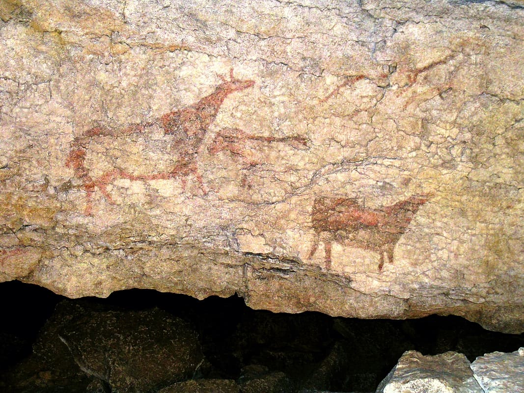 Ciervas rojas del friso de El Pendo